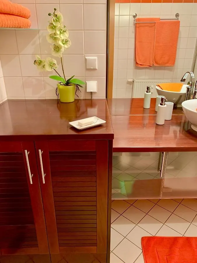 Luxurious City Apartment Incl Garage And Terrace Wien