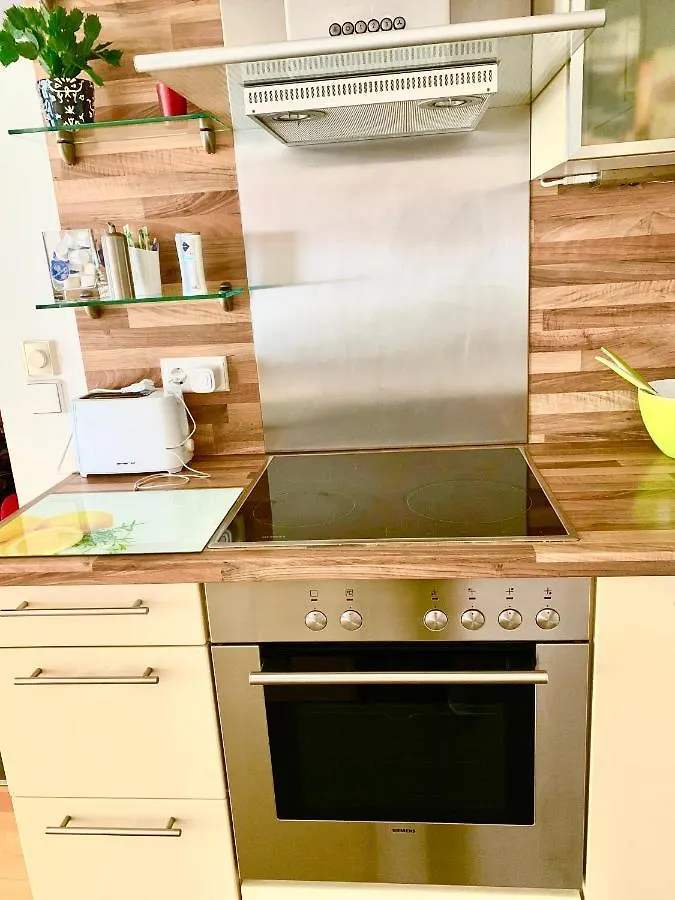 Luxurious City Apartment Incl Garage And Terrace Vídeň 0*,