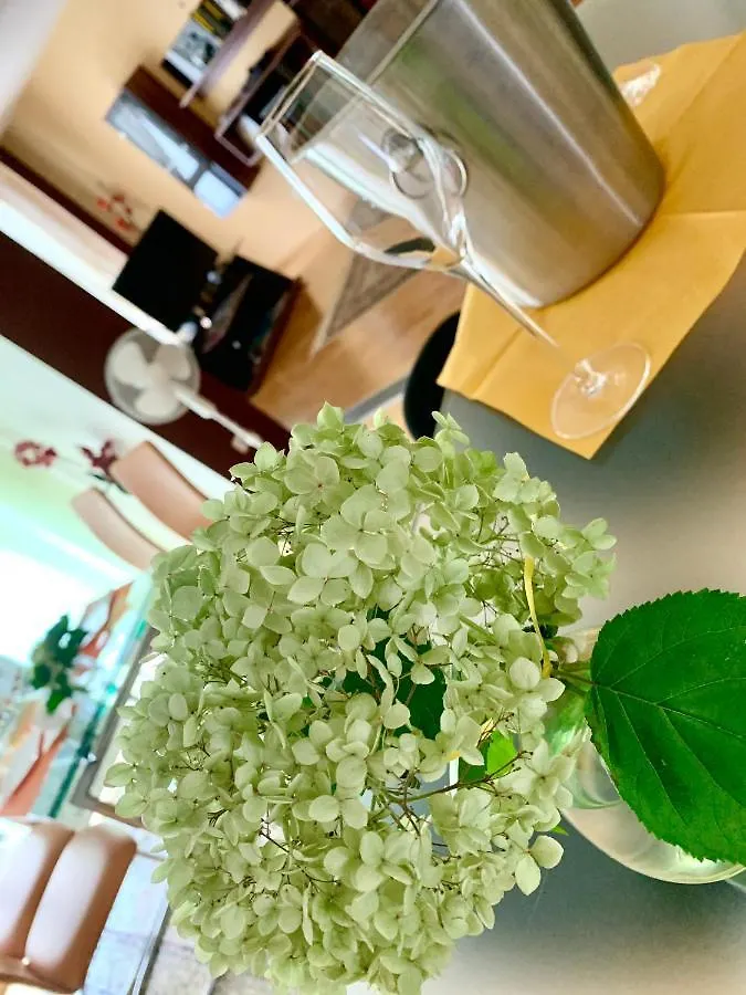 Luxurious City Apartment Incl Garage And Terrace Wien
