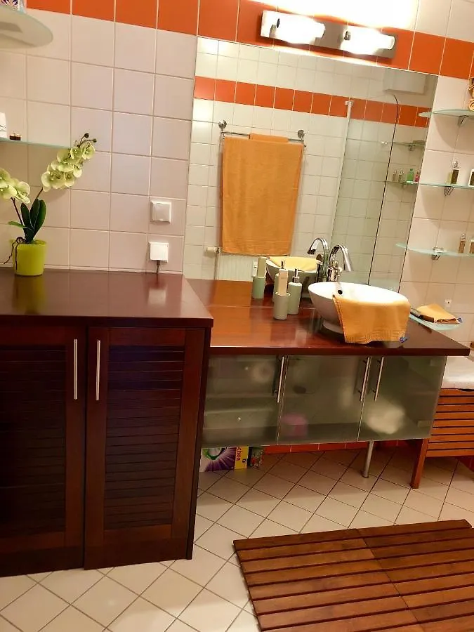 Luxurious City Apartment Incl Garage And Terrace Wien 0*,
