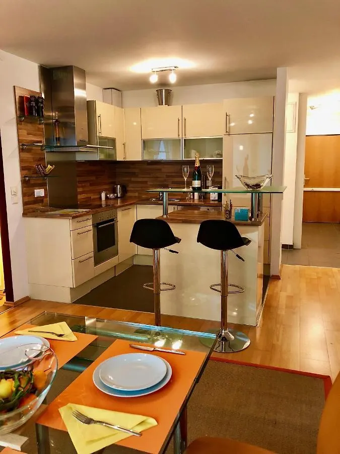Luxurious City Apartment Incl Garage And Terrace Vídeň Rakousko