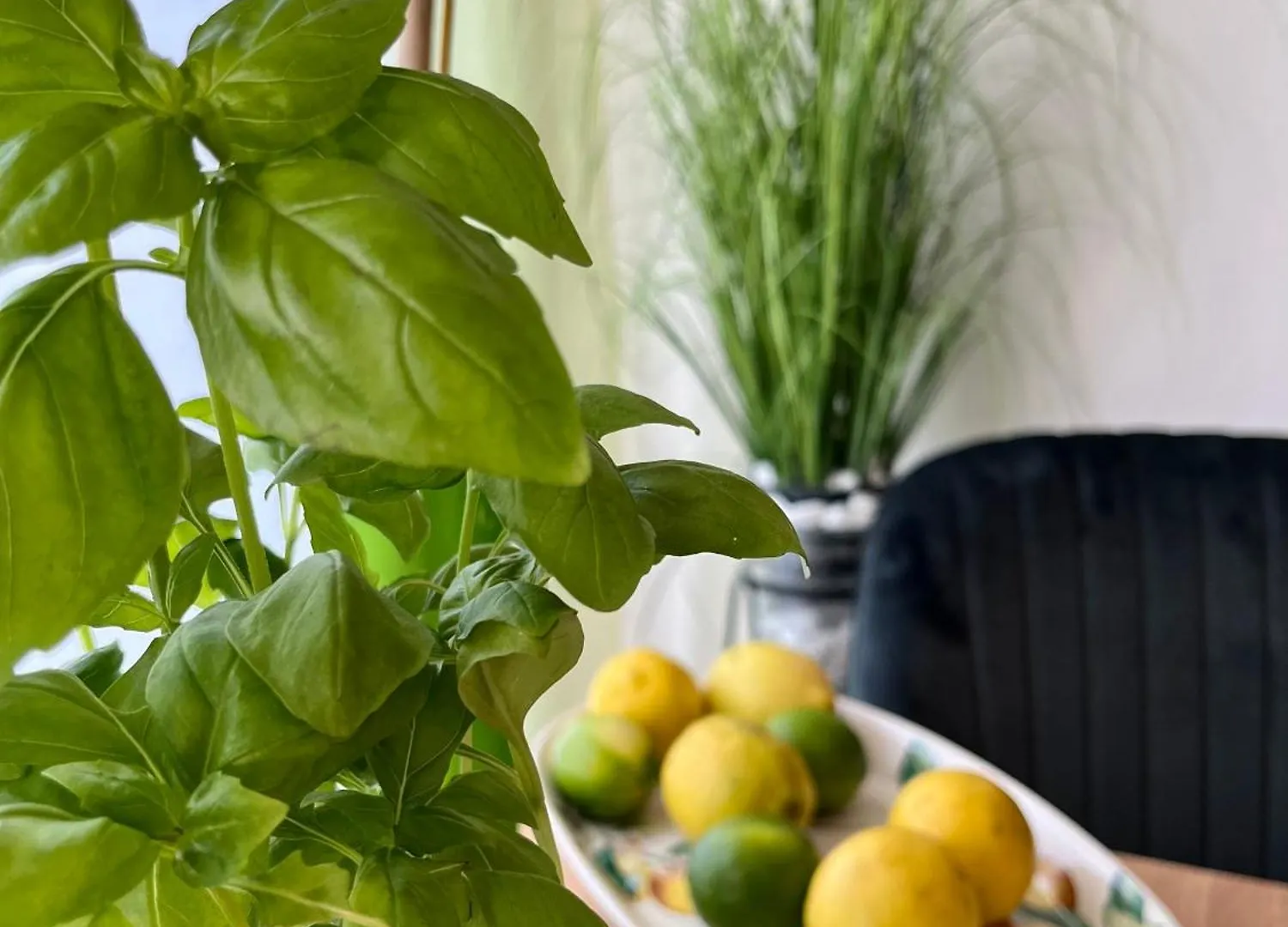 Luxurious City Apartment Incl Garage And Terrace Wien Österreich